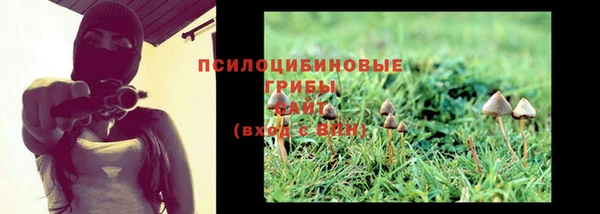 Альфа ПВП Абдулино