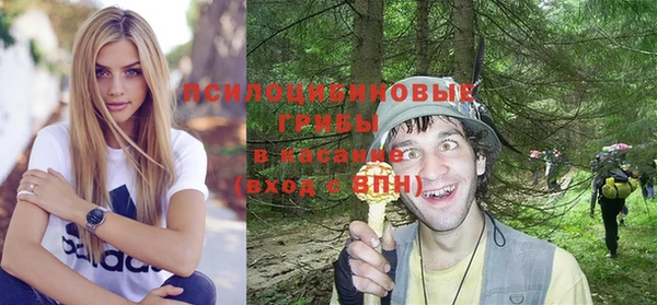 а пвп мука Абаза