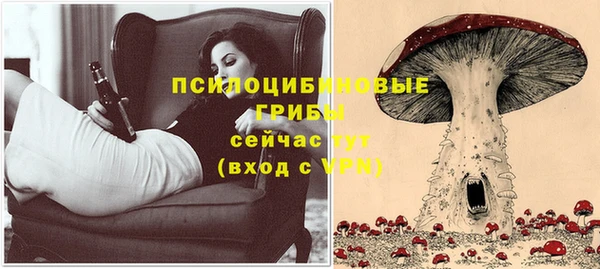 Альфа ПВП Абдулино