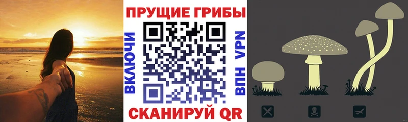 Галлюциногенные грибы GOLDEN TEACHER Лесозаводск