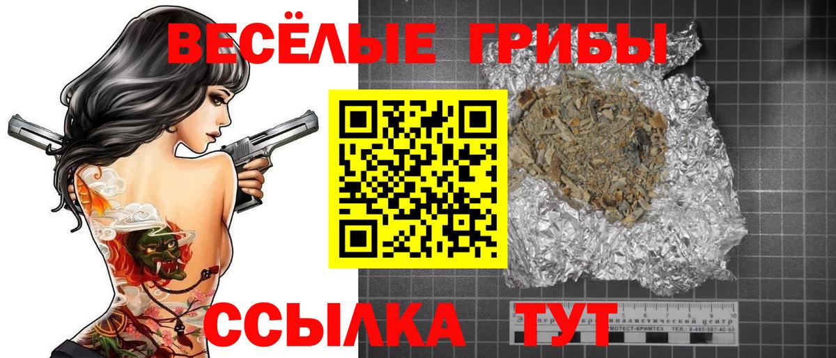сколько стоит  Вход с VPN  Лесозаводск  Псилоцибиновые грибы Psilocybe 